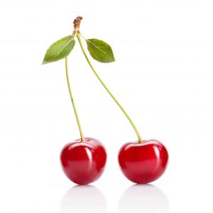 Vişne Fidanı