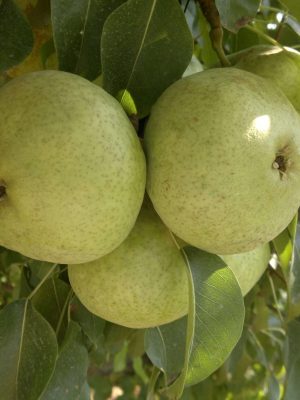 Ankara-1-1-scaled-1.jpg Ankara