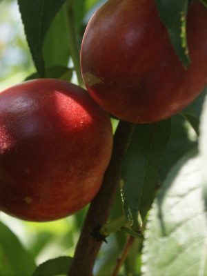 Bigbang-4-scaled-1.jpg Big Bang