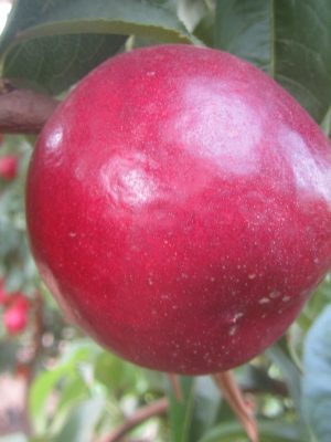 Extreme-751.jpg Extreme 751